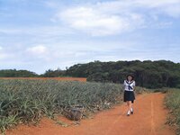 [Photobook] 三津谷葉子 - zinnia