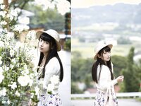 [Photobook] Evolved Gravure 春野恵 堪能美[115P]