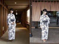 [Photobook] Evolved Gravure 春野恵 堪能美[115P]