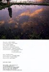 [Photobook] 三津谷葉子 - Dear