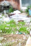 [FLASH Photobook] Tsukine Takeuchi 竹内月音 - Someday after school いつかの放課後 (2021-06-25)