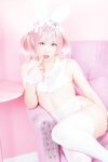 [Cosplay] Mime 弥美 - 白粉色兔女郎