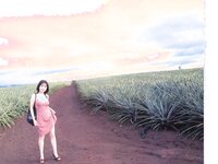 [Photobook] 名波はるか - Natural-Hard (2004.07.01)