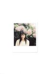 [Photobook] 未向[みさき] - LOVE POLA