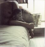 [Photobook] 未向[みさき] - LOVE POLA