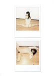 [Photobook] 未向[みさき] - LOVE POLA