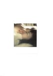 [Photobook] 未向[みさき] - LOVE POLA