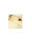 [Photobook] 未向[みさき] - LOVE POLA