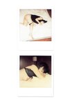[Photobook] 未向[みさき] - LOVE POLA