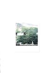 [Photobook] 未向[みさき] - LOVE POLA