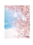 [Photobook] 2023.09.12 上村ひなの写真集 そのままで