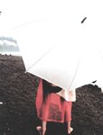 [Photobook] 小倉優子 - 優Q天国