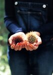 [Photobook] 石川梨華 石川梨華  「 I 」