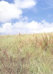 [Photobook] 山崎真実 - MAMI蔵