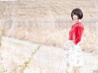 [Graphis] Gals - Shiho Fujie 藤江史帆 『 Pele clara 』(160P+5Vid)