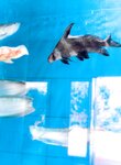 [Photobook] 松浦亜弥 - a