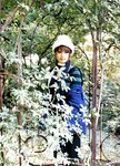 [Photobook] 深田恭子 - 深田恭子 meets 天使 映画『天使』Photo Making Book (グラビアページのみ)