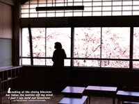 [Photobook] 釈由美子 - Shaku Shake