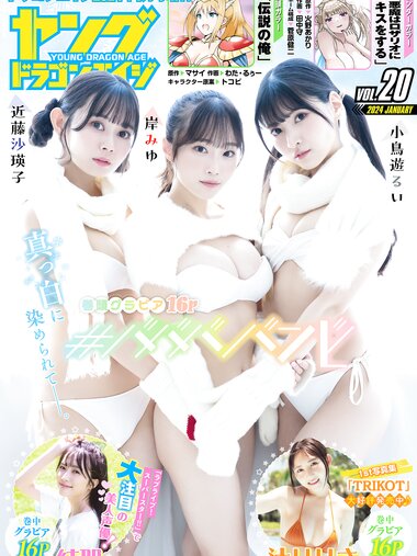 [Young Dragon Age] ドラゴンエイジ2024年1月号増刊 ヤングドラゴンエイジ VOL.20 岸みゆ・小鳥遊るい・近藤沙瑛子