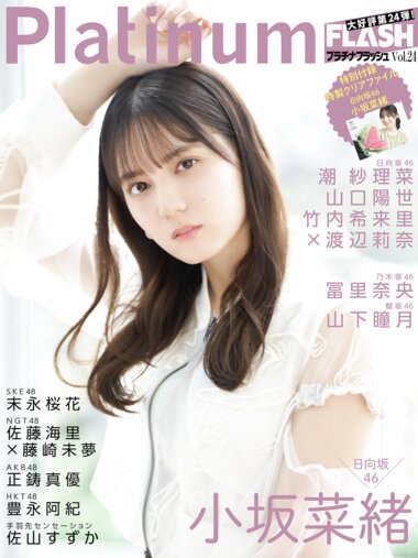 Platinum FLASH vol.24