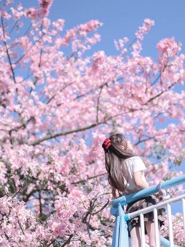 [Cosplay] myeo0 萌芽儿o0 - Kapok 异木棉花