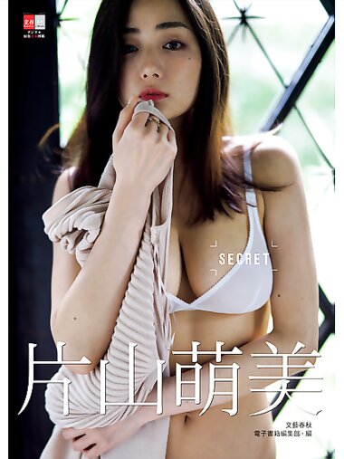 [Photobook] デジタル原色美女図鑑 片山萌美 SECRET