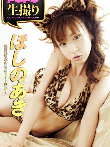 [Photobook] ドキドキ生撮り ほしのあき 美巨乳な彼女とスウィートホリデー