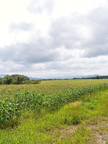 [Graphis] 2018-12-25 Minami Kojima 小島みなみ Winter Special 2018 Can you come here!