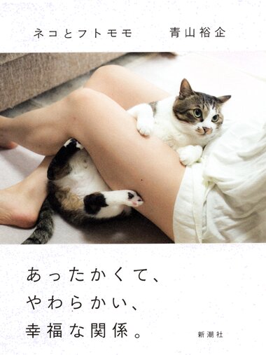【青山裕企】ネコとフトモモ
