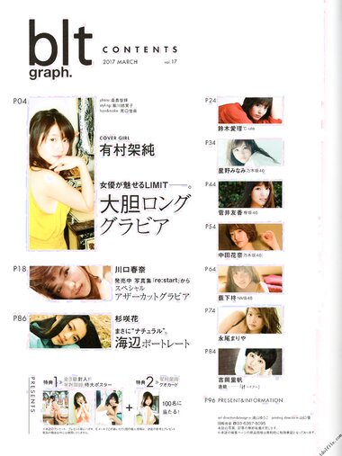 [blt graph] vol.17
