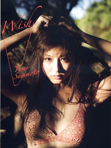 2010.11.28 杉本有美 写真集 wish
