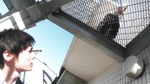 NITR-522 Kawakita Meisas dissatisfaction is the fact that compatibility utilizing the instructor is outstanding. To...