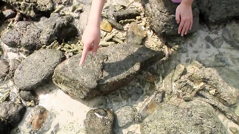 SBVB-0004 Yui Itou 伊藤優衣 – ボクのそばにはいつもキミ