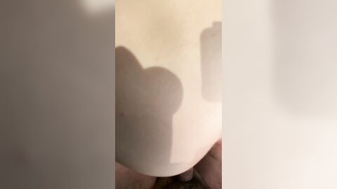 2968788-1