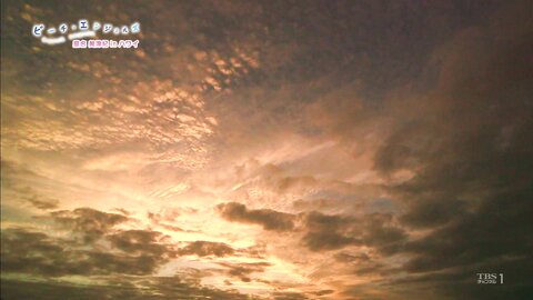 TBS-311027086 Mizuki Hoshina 星名美津紀 – Beach Angels 星名美津紀 in ハワイ