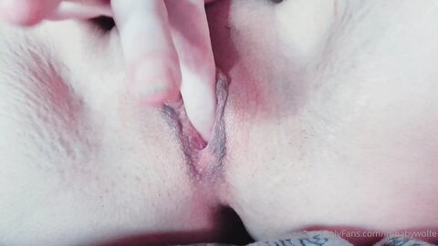 Imbabywolfe 2020 11 23 1316638900 Clip