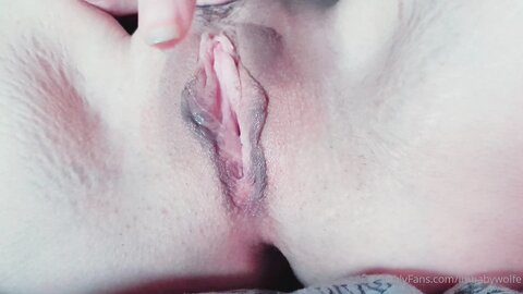 Imbabywolfe 2020 11 23 1316638900 Clip