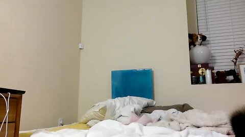 Mynightjobaccount 2023 02 26 14 49 58