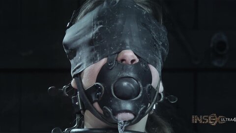 25648730