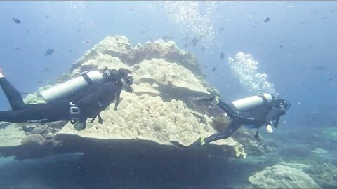 Crystal Clear  Lunas Journey