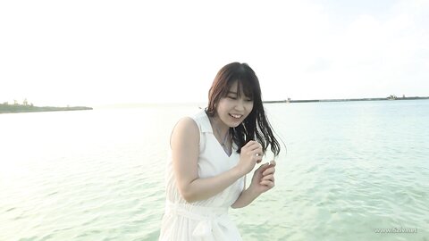 AIPI-0033