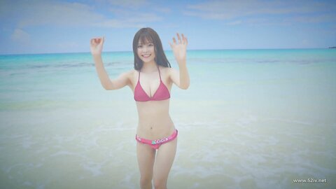 AIPI-0039