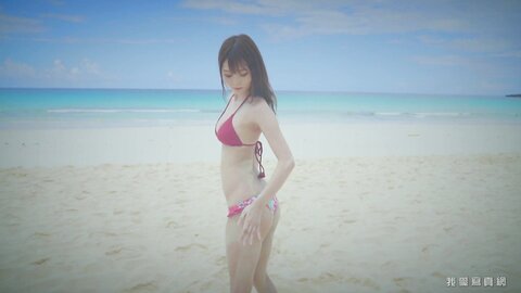 AIPI-0039
