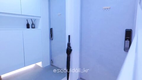 Seouldoll(설돌) - OnlyFans Collection 2025-03 (26)