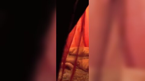 Kama Sutra - Sahara K