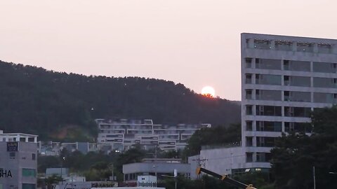 NEW ME - 本郷柚巴 - Special - Chapter2