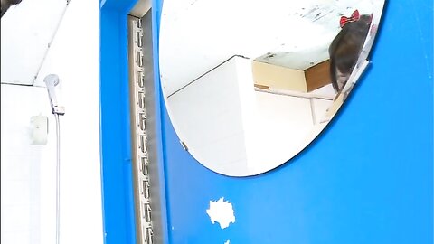 PITI-003 Ria Eto 江藤理亜 - ピチ・ガール