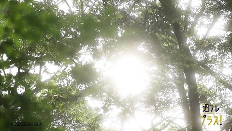 その顔好きになれって言ってる - 溝端葵 - Special01