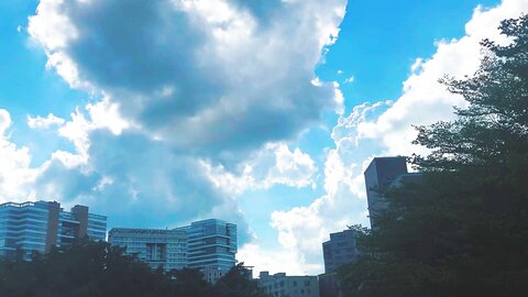 [Cosplay] 柒柒要乖哦 清凉夏日 [71P 1V-1.43GB]