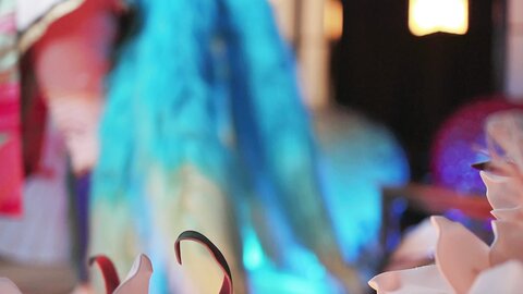[Cosplay] KANEKO_咔喵 英雄联盟 灵魂莲华 阿狸 [17P1V-541MB]